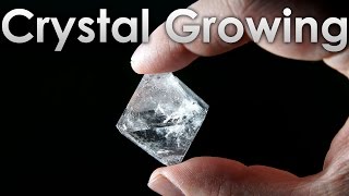 Grow Transparent Single Crystals of Alum salt at Home [upl. by Ettore840]