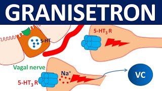 Granisetron as antiemetic  Mechanism side effects precautions [upl. by Edgell]