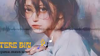 TERE BIN DJMIX SONG BY YASHAL SHAHID🥀 [upl. by Ecertap924]