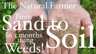 Fix Sandy Soil Using Weeds  John Kaisner The Natural Farmer [upl. by Assylla]