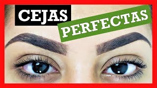 COMO DEPILAR LAS CEJAS PASO A PASO  HOW TO HAVE THE EYEBROWS STEP BY STEP  PERFECT EYEBROW [upl. by Demetre]