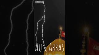 Nohay  نوحہ  aunabbas nohay shots 🙏🏻💯 [upl. by Haral494]