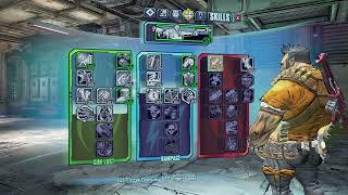 Borderlands 2 Best Gunzerker Salvador Level 30 Build [upl. by Ivey]