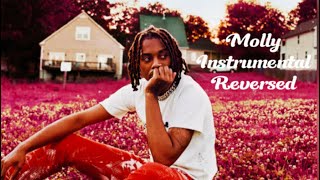 Playboi Carti  Molly Instrumental Reversed  Slowed [upl. by Sanford]