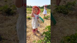 Erdbeeren pflücken 🍓 Familientag auf dem Erdbeerfeld shorts vlog Mamiseelen [upl. by Greyso]