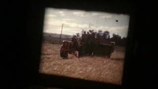 Standard 8mm Film Home Movies 1950’s bampw  colour silent 400ft reel farming scene in New Zealand [upl. by Cash363]