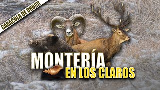 Montería en los Claros  Iberalia GO [upl. by Damahom]