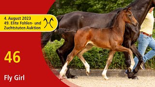 49th Verden Elite Foal OnLiveAuction Aug 4th No 46 Fly Girl by Fidertanz  HohensteinT [upl. by Ithsav]