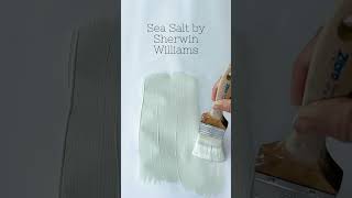 PAINT COLOR LOVE Sea Salt by Sherwin Williams Bring a touch of tranquility to your space paint [upl. by Coucher]