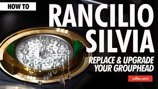 How To Easily Replace amp Upgrade Your Group Head  Rancilio Silvia [upl. by Anotal238]