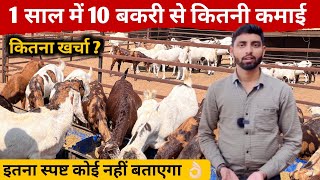 10 बकरी से कितनी कमाई । How To Start Goat Farm With 10 Goat [upl. by Kcirrag]