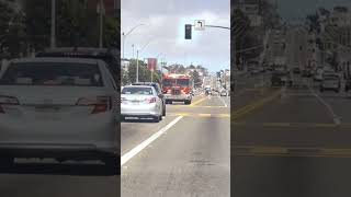 HILARIOUS Fire Truck Plays quotBaby Sharkquot on Sirens MustWatch Viral Video shorts [upl. by Hamehseer]