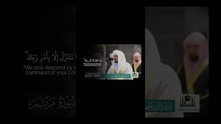 Surah Maryam  Yasser AlDosari  6364  Footage from telawatyasseer1  Emammoathen [upl. by Yehtomit459]