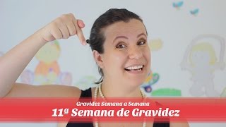 11ª Semana de gravidez [upl. by Enelhtac]