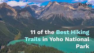 11 of the Best Hiking Trails in Yoho National Park [upl. by Llerroj]