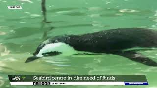 Seabird and Penguin Rehabilitation Centre in dire need of funds [upl. by Aihsekan]