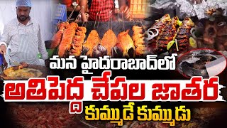 హైదరాబాద్ లో అతిపెద్ద చేపల జాతర  Biggest Fish Food Festival in Hyderabad  Red Tv [upl. by Delfine777]