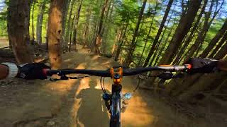 Whistler Blackcomb Ez Does it turns into a mess MTB POV [upl. by Kcirdahc]