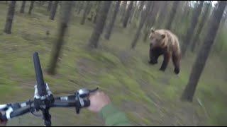 Bear Attack Man is trying to run away from attacking Bear GoPro [upl. by Klingel930]