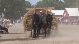 Old Threshers Reunion  Mt Pleasant Iowa [upl. by Hsu]