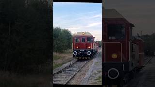 107 0184 in Vejprty Weipert trainspotting vse v75 Sound [upl. by Zehe460]