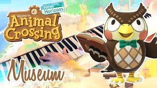 Museum ANIMAL CROSSING  Easy Piano Variations w Sheet music [upl. by Steinberg]