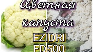 Цветная капуста в сушилке EZIDRI FD500 0620 5AFamily [upl. by Asi]