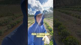 Agora já não restão dúvidas café cafeeiro agro [upl. by Audrit91]