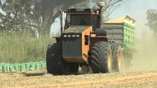 ACO 250 with ADE 447 engine pulling trailer with peanuts in South Africa [upl. by Wurster477]