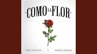 COMO LA FLOR feat BARBARA GONZALEZ [upl. by Tjaden750]