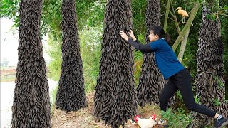 AMAZING  Harvest Soapberry Go to sell  Wonderful fruit in the deep forest  UR Lý Tiểu Luyến [upl. by Lleynod]