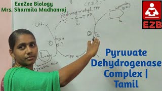 Pyruvate Dehydrogenase Complex [upl. by Robert]