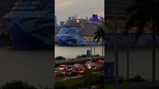 cruises cruiselife cruiseships [upl. by Noside987]