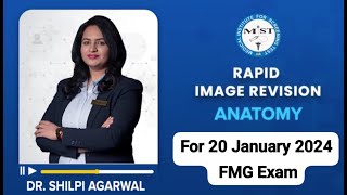 ANATOMY RAPID IMAGE REVISION FOR 20TH JANUARY 2024 FMG EXAM [upl. by Naasar]