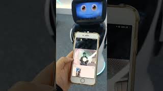 PadBot Robot P3 Video Call  One Way and Two Way Call Demo [upl. by Stanislas442]