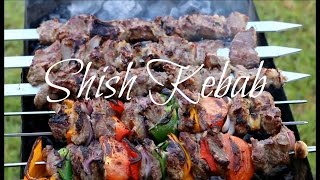 Persian Shish Kebab Recipe  Chenje kabab Persian Style [upl. by Eerdna]