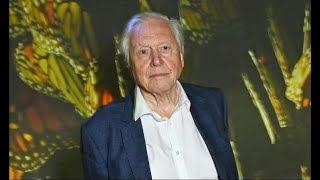 David Attenborough 98 addresses whether new series will be his last [upl. by Irotal134]