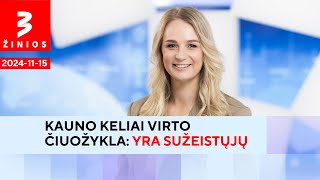 „Teltonika” stabdo technologijų parko statybas su 6 tūkst darbo vietų  TV3 Žinios [upl. by Atwater978]