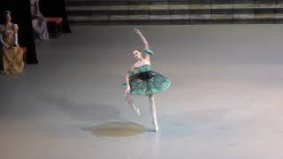 141018 Daria Ionova variation No 4 in Paquta [upl. by Harli]