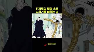 빛의 속도 발차기를 피하는 방법 키자루 물리학 원피스 [upl. by Lehmann]