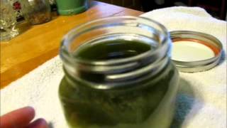 Chickweed Plantain and Comfrey Salve pt 2 [upl. by Llerred]