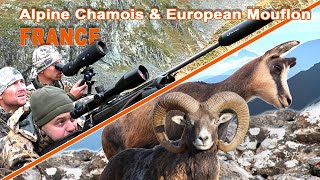 Mouflon amp Chamois hunting in France  Chasse au Mouflon et Chamois en France  2022 [upl. by Nilats339]