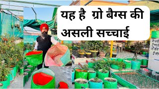 ग्रो बैग्स की असली सच्चाई  Grow Bags Ki Asli Sachai  GreenLifeDiaries [upl. by Lashondra]