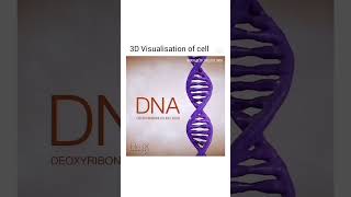 gene DNA  nucleosome  chromatin rahulguptadnaclasses [upl. by Ahsemad611]