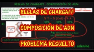 EJERCICIO DE APLICACIÓN DE LAS REGLAS DE CHARGAFF Avanzado Biología Ácidos Nucleicos [upl. by Iver807]