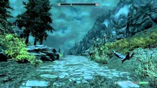 Skyrim Fraps Test  Nvidia 9600M GT medium settings [upl. by Aro]