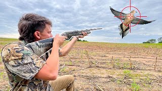 DOVE HUNTING Opening Day with The BOYS catch clean cook [upl. by Erehpotsirhc]