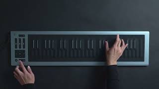 Seaboard RISE 2 and Equator2 A match made in musical heaven [upl. by Busey]