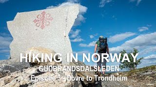 ST OLAV WAYS  EPISODE 3  HIKING IN NORWAY  GUDBRANDSDALSLEDEN [upl. by Procto920]