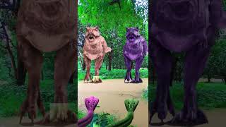 TRex chase dinosaurviralvideo shortvideo dinosaur jurassicworld [upl. by Ynnig]